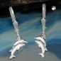 Preview: Ohrbrisuren Ohrhänger Ohrringe 25x11mm Delfinpaar matt-glänzend Silber 925